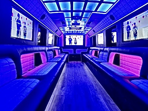 Party bus interior - The Royale 36 Passengers
