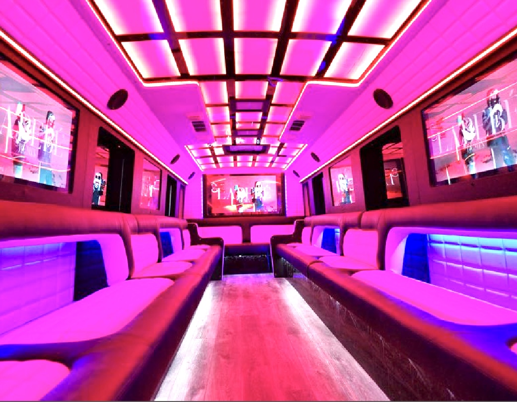 Party bus interior - The Luxe 30 Passengers